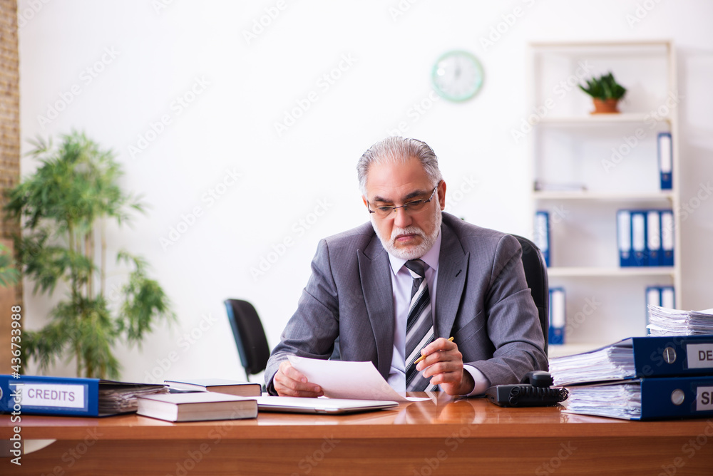 Old male businessman employee reading contract in the office Old male businessman employee reading contract in the office