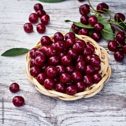 Cherry berries in a basket in the garden