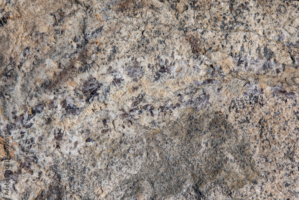 abstract texture of the stone in beige color with black and white veins abstract texture of the stone in beige color with black and white veins