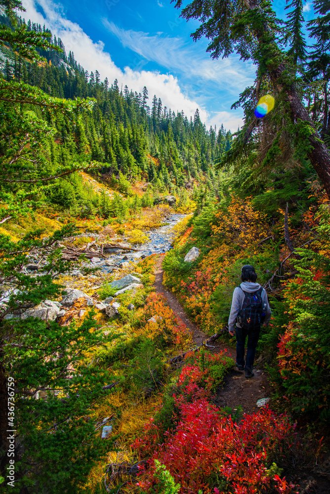 Hiking through the fall foliage in the woods of Washington