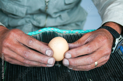 a farmer holding an egg