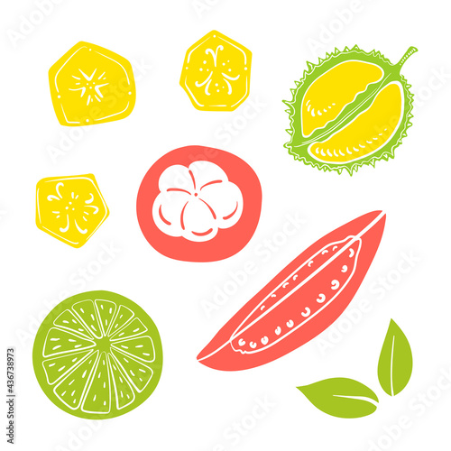 Top view of sliced tropical fruits. Colorful paper cut collection of fruits and berries isolated on white background. Doodle hand drawn fruits. Vector illustration