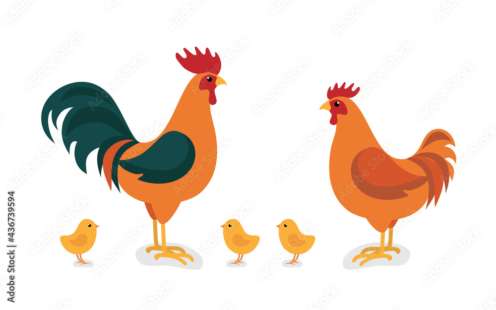 Сartoon animals collection in flat style isolated on white background: rooster, hen, chickens. Сartoon animals collection in flat style isolated on white background: rooster, hen, chickens.