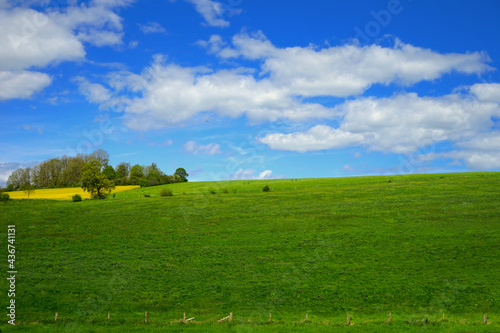  H  gel mit Wiesen  Rapsfeld und Geb  sch vor blauem Himmel mit wenig Wolken  Okental bei B  ren  Kreis Paderborn  Ostwestfalen-Lippe