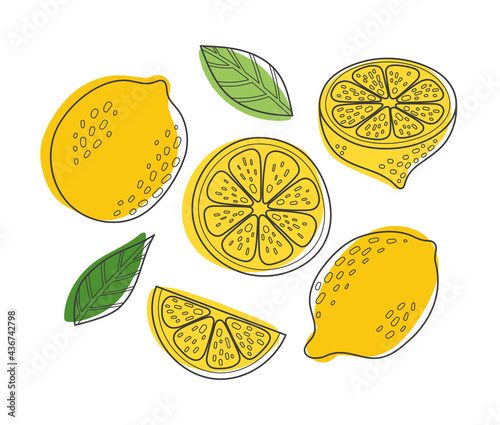 Cute Hand drawn outline Vector Lemon set. Cartoon summer fruit slice, half sliced lemons, fresh green leaves, yellow whole lemon line collection isolated on white background