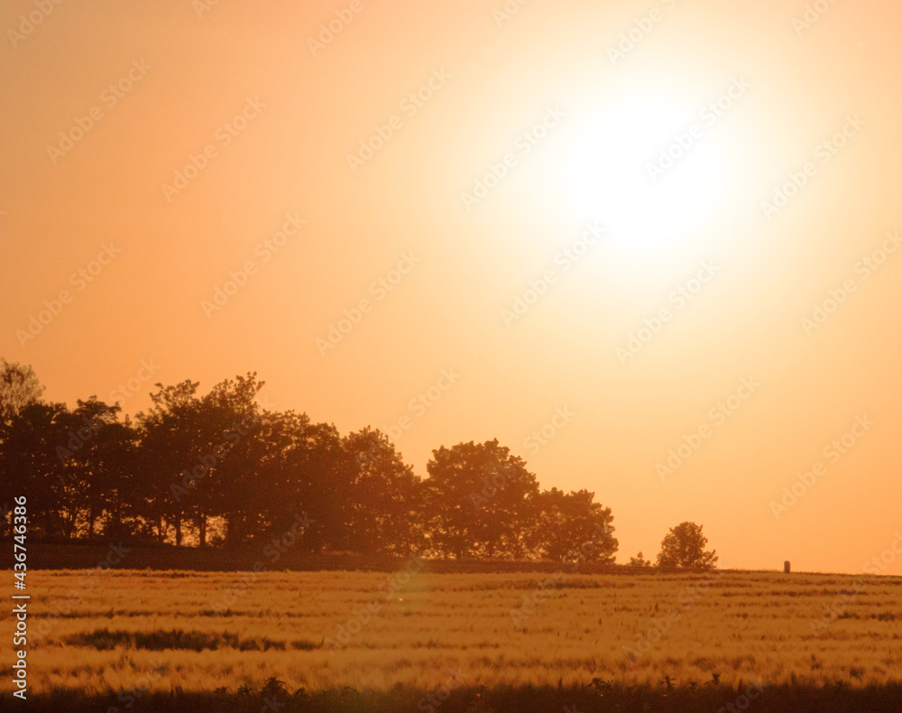 Sunbeams sunset over a field in romantic orange near Kreuzau in Dueren Germany