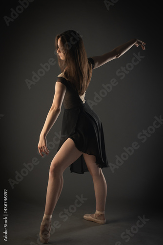 Perfect ballet pose