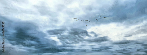 Photography A flock of birds in the sky. Gray weather. Wide panoramic view