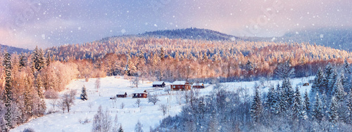 Winter landscape in Carpathian mountain village with snow covered trees, banner. Beauty of countryside concept background