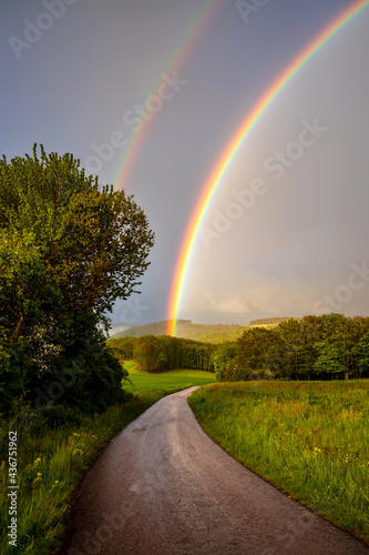 Vertical shot of a beautiful colorful rainbow on the blue sky above the green field and trees