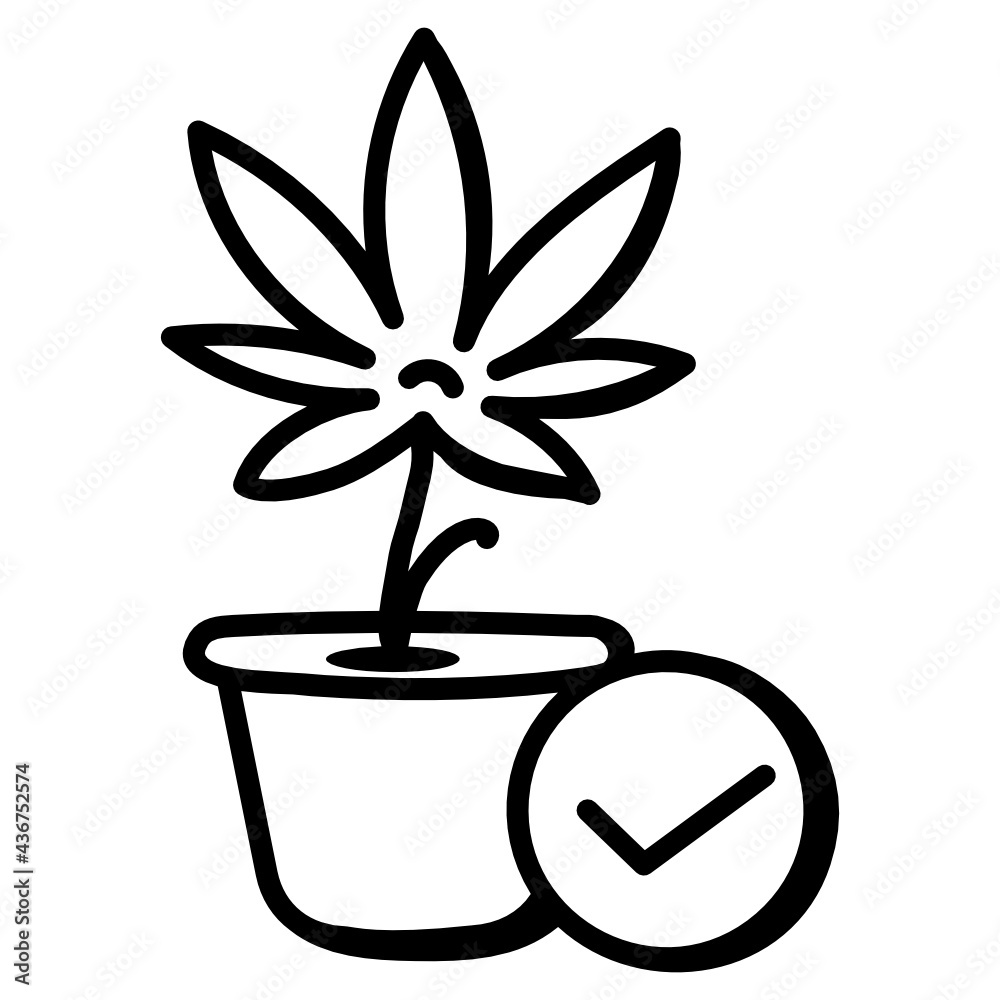 Marijuana
Marijuana