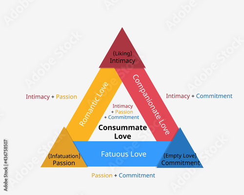 Triangular Theory of Love to show the three components of love photo