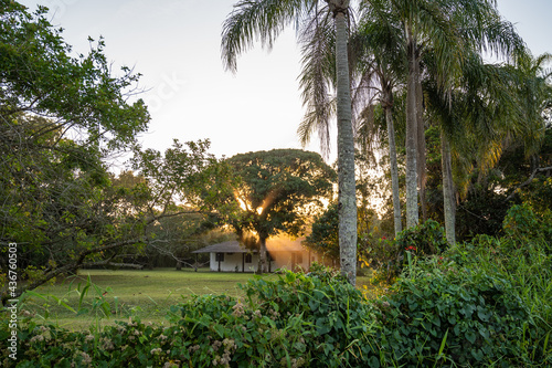 paisagem de uma casa no meio das árvores  iluminada pelos raios de Sol  photo