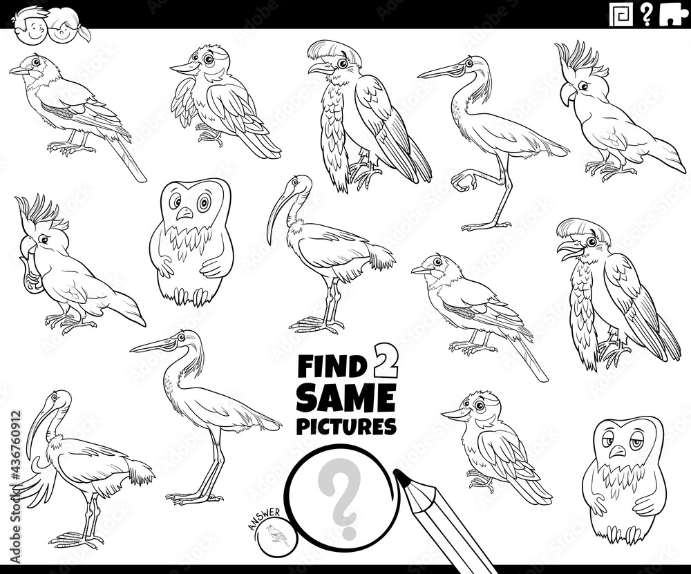find two same birds game coloring book page find two same birds game coloring book page