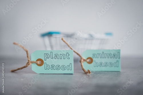 plant-based and animal-based product tags with grocery shopping basket, healthy nutrition and ethical choices photo