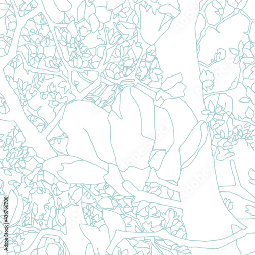 白木蓮の線画イラスト Yulan magnolia