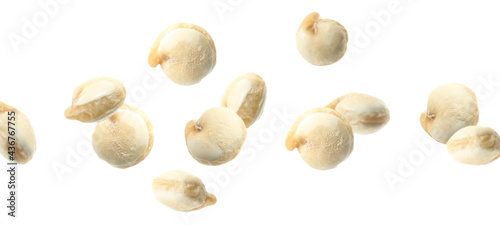 Many quinoa seeds falling on white background, banner design. Vegan diet