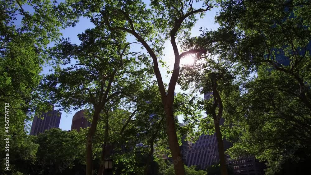 The green trees of the Bryant park in a sunny summer day in the Midtown Manhattan, New York. The green trees of the Bryant park in a sunny summer day in the Midtown Manhattan, New York.