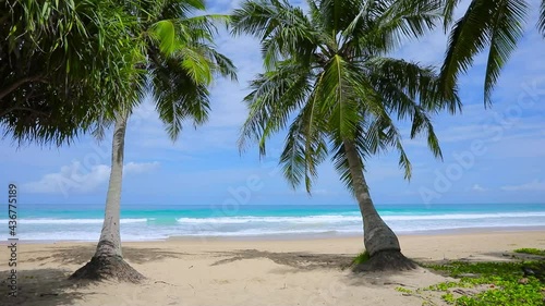 Sea sand beach Video Summer beach with sunny sky and coconut tree Phuket island, Thailand Beautiful scene of blue sky and cloud  on sunny day Empty holiday sea where the horizon can see clearly
