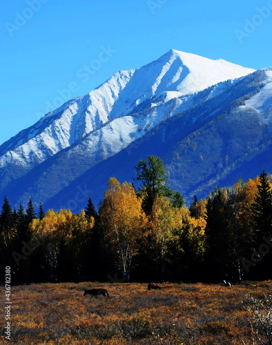 Photography autumn in the mountains