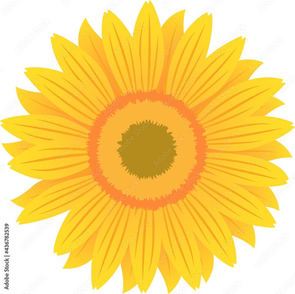 ひまわりのイラスト Stock Vector Adobe Stock