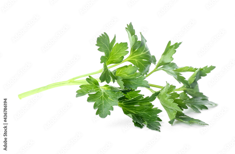 Fresh parsley on white background Fresh parsley on white background