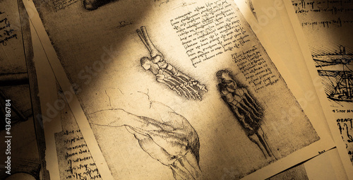 Anatomy art by Leonardo Da Vinci in Kandy medical exhibition