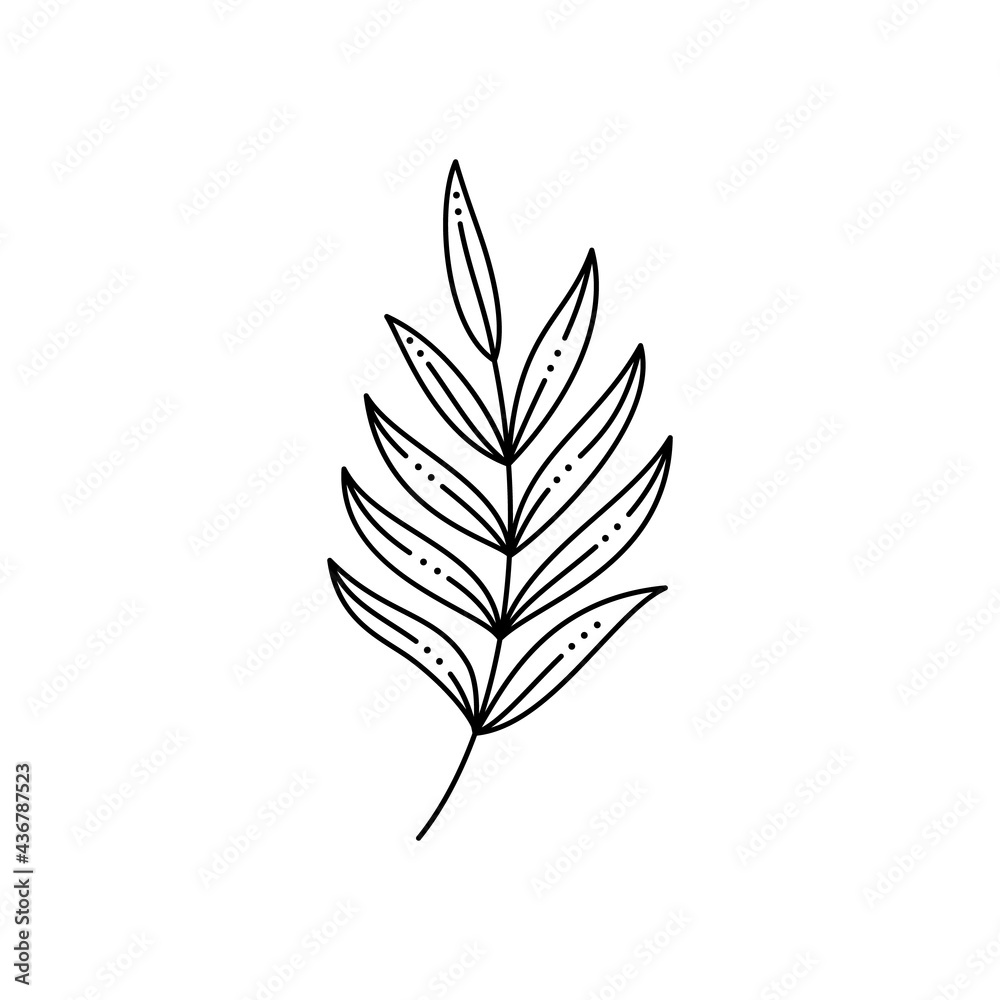 Tropical Palm leaf in a Trendy Minimalist Liner Style. Vector Illustration Tropical Palm leaf in a Trendy Minimalist Liner Style. Vector Illustration