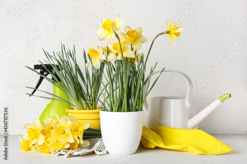 Gardening tools with narcis...