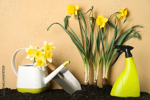 Gardening tools with narcis...