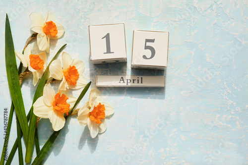 Beautiful daffodils and calendar on color background