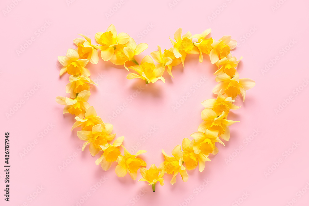 Heart made of beautiful daffodils on color background Heart made of beautiful daffodils on color background