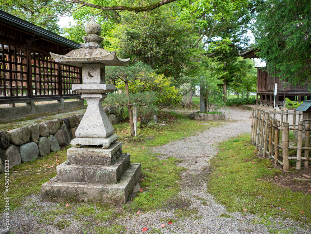 初夏の神社