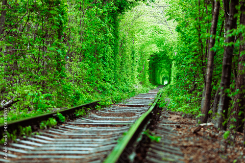 a railway in the spring forest tunnel of love