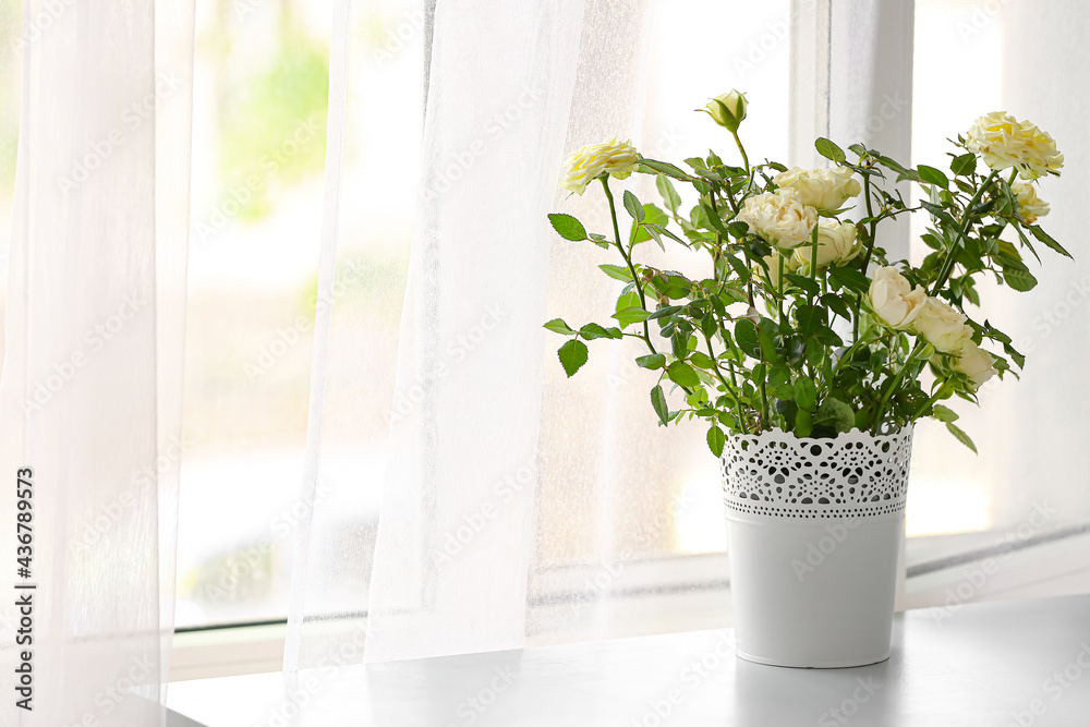 Fototapeta premium Beautiful white roses in pot on table in room