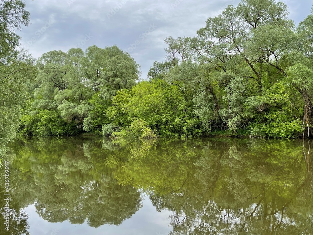 Trees reflected in the smooth surface of the water Trees reflected in the smooth surface of the water