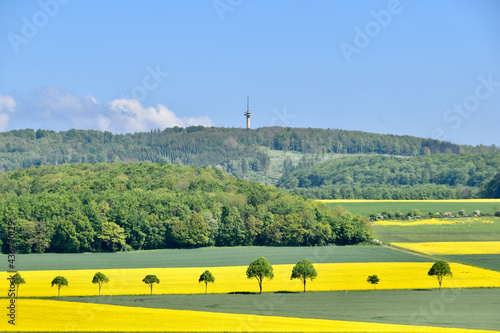 Gauss Tower with rapeseed