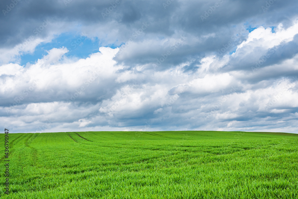 Green field and blue sky white cloud nature background.Farmland. Beautiful field against blue sky with white clouds. Green field and blue sky white cloud nature background.Farmland. Beautiful field against blue sky with white clouds.