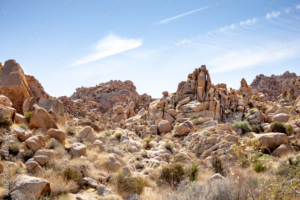 Fototapeta premium A view of the rocky terrain seen inside Joshua Tree National Park.