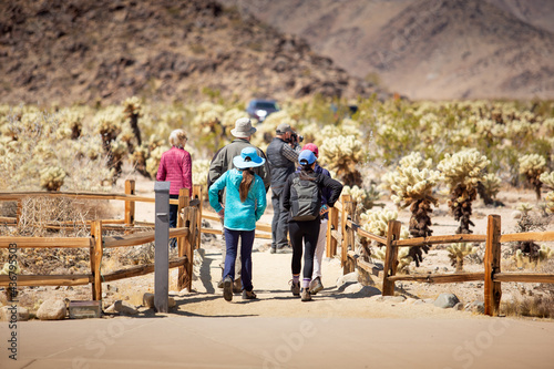 A view of a family walking around the Cholla Cactus garden. photo