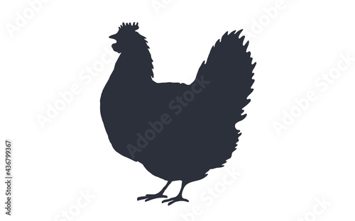 Rooster, chicken, hen, silhouette. Black white silhouette of rooster or hen. Vintage logo, retro print for Butchery meat shop, restaurant menu, rooster silhouette. Vector Illustration