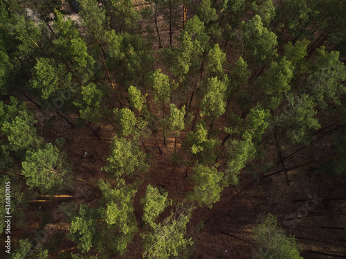 aerial photo of europe nature