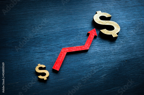 Canvas Print Profit of investing and success in business