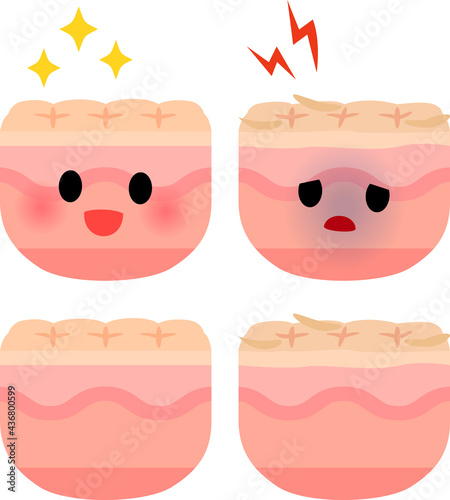 健康な皮膚と荒れた皮膚のキャラクター