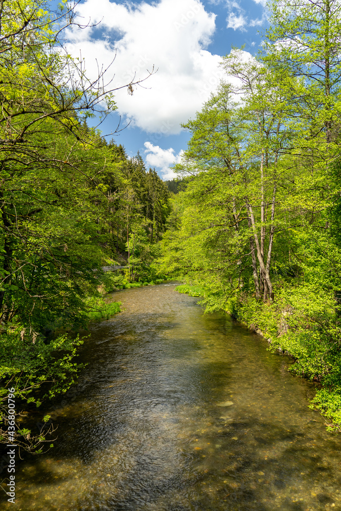 Die Schwarza fließt durch ein romantisches Tal in Thüringen
