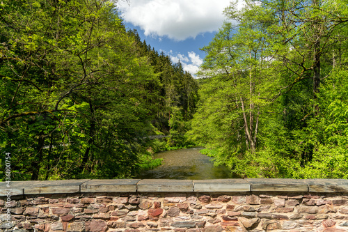 Blick auf die Schwarza in Thüringen photo