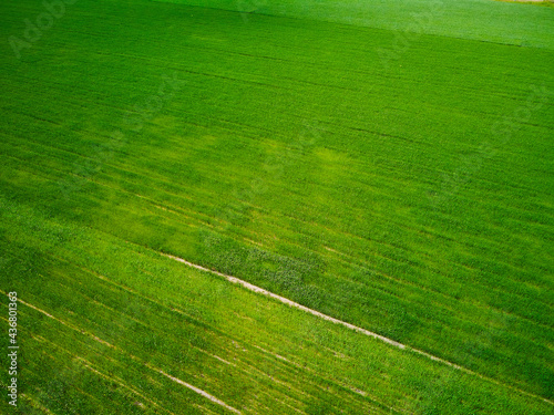 aerial photo of green field