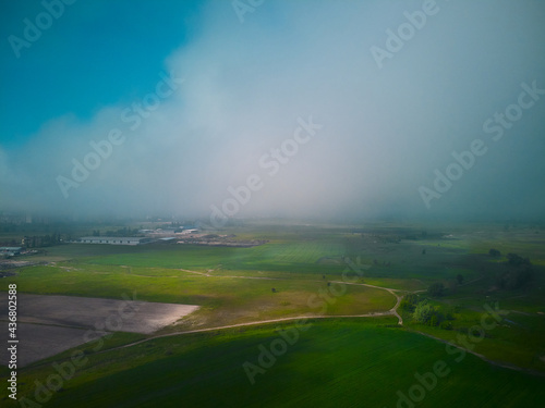 aerial photo of green landscape above the clouds