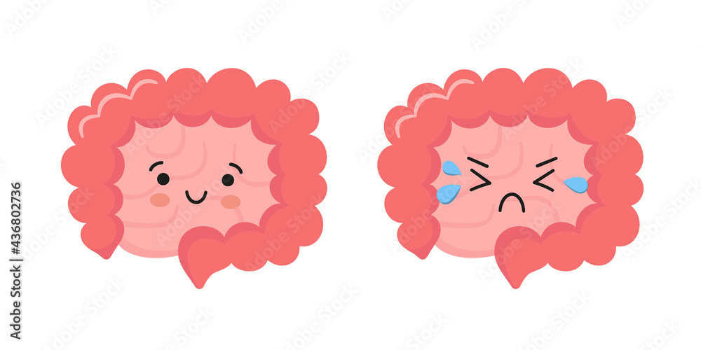 Happy and sad kawaii characters of intestine. Healthy smily and unhealthy cry gut characters. Abstract bowels. Vector illustration isolated on white background. Happy and sad kawaii characters of intestine. Healthy smily and unhealthy cry gut characters. Abstract bowels. Vector illustration isolated on white background.