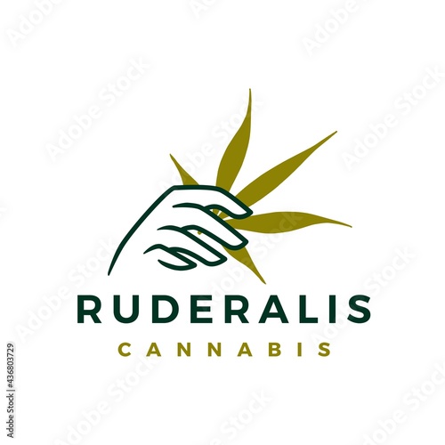 hand hold ruderalis cannabis logo vector icon illustration